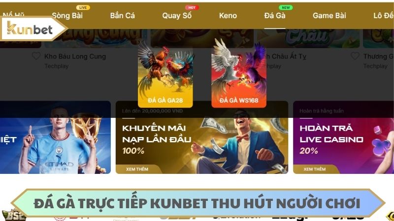 Đá gà trực tiếp tại KUNBET thu hút người chơi với chất lượng hoàn hảo