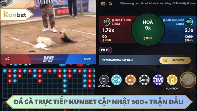 Mỗi ngày cập nhật hơn 500 trận đá gà trực tiếp KUNBET kịch tính