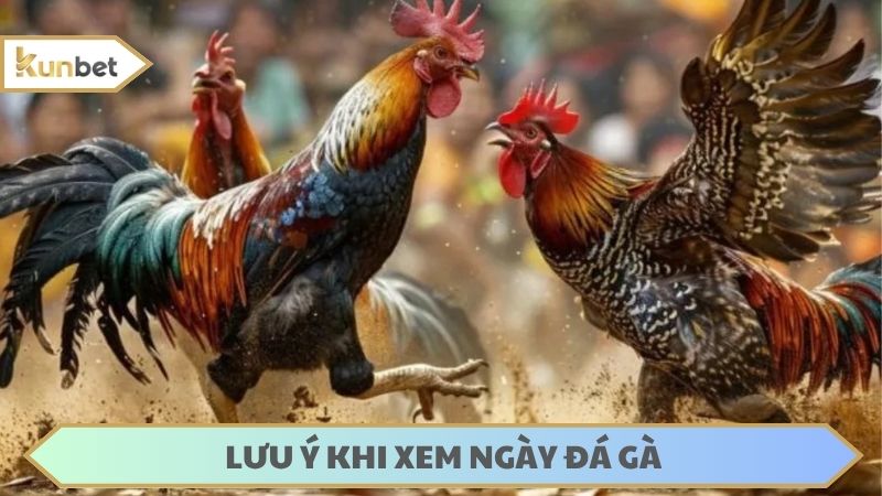Cần kết hợp xem ngày với nhiều yếu tố khác để đảm bảo hiệu quả